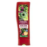 Herbal Essences Long Term Relationship