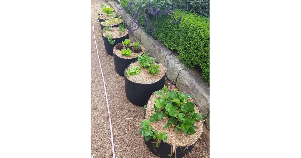 Aussie Gardener Geofelt Planter Bag 5 Pack reviews