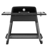 Everdure by Heston Blumenthal FURNACE