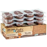 Big Dog Raw Cat Food