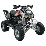 Can-Am DS 650 X
