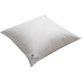 Logan & Mason Feather European Pillow