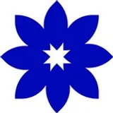 Simple Online Doctor