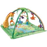 Fisher-Price Rainforest Melodies and Lights Deluxe