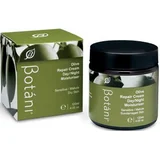 Botani Olive Repair Cream