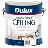 Dulux Light & Space Ceiling Flat