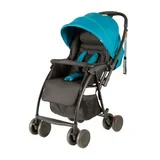 Childcare Echo Stroller