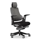 Desky Pro+ Ergonomic Chair