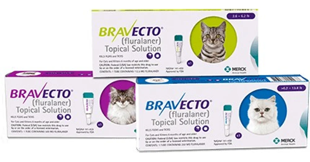 Bravecto For Cats Productreview Com Au