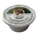 Ecogrow African Black Beetle