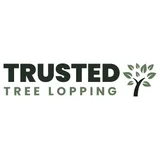 Trusted Tree Lopping Brisbane