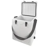 ALDI Ice Box