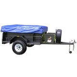 Camel The Beachcomber