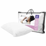 Downia White Collection