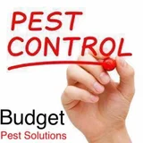 Budget Pest Solutions