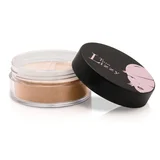 Thin Lizzy Mineral Foundation