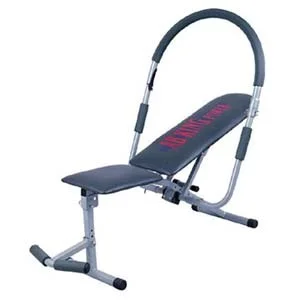 Ab king best sale pro exercise