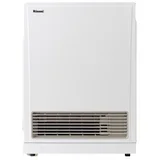 Rinnai Energysaver FT Series