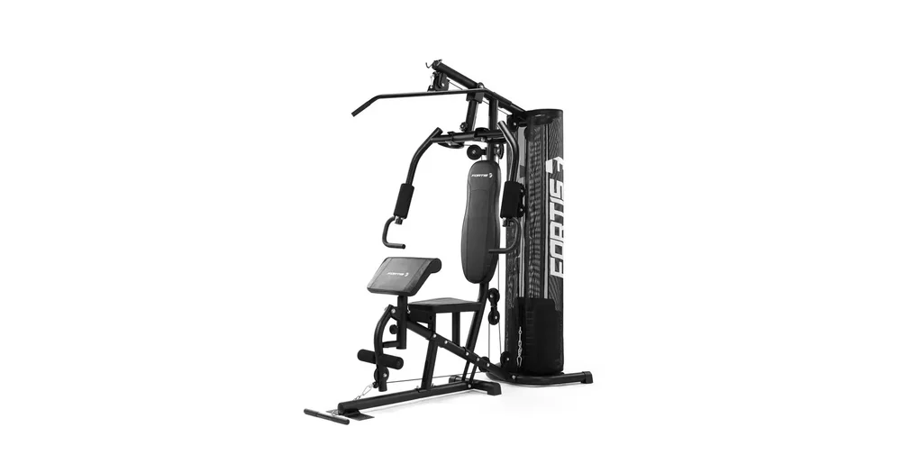 Fortis door gym cheap set