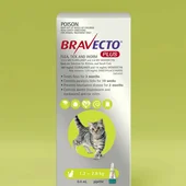 Bravecto Plus for Cats | ProductReview.com.au