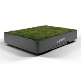 Real Grass Puppy Potty Grassifier