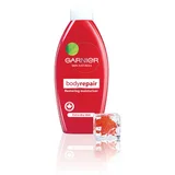 Garnier Body Repair