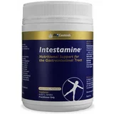 BioCeuticals Intestamine