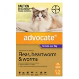 Advocate Purple (Large Cat)