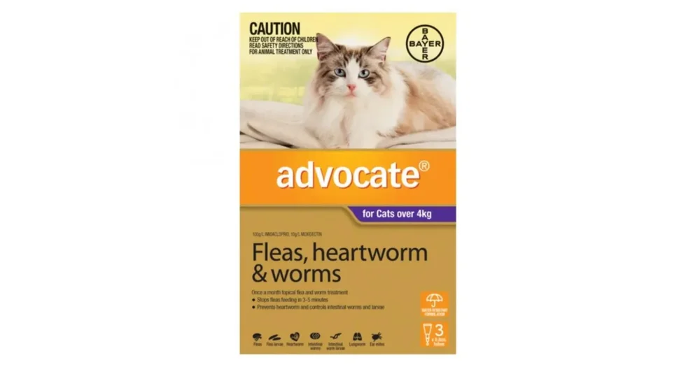 Advocate for shop cats woolworths