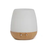 ECO. Modern Essentials Bliss Diffuser