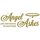 Angel Ashes