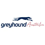 Greyhound Australia