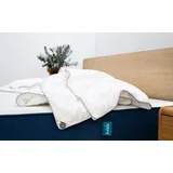 Koala Balmy Night Duvet