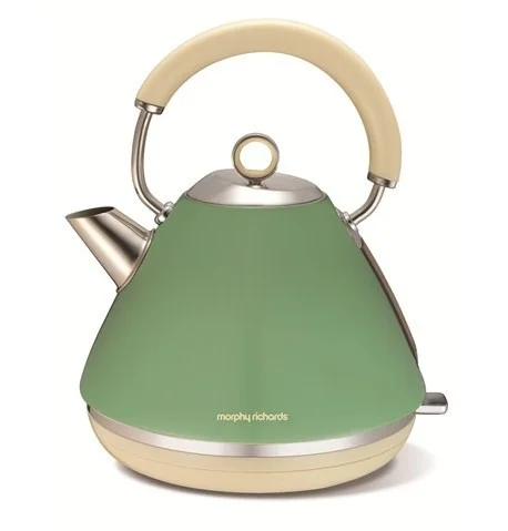 Morphy richards sage top green