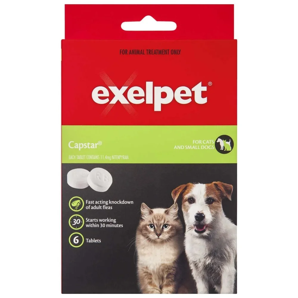 exelpet flea shampoo