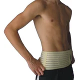 Dick Wicks Magnetic Deluxe Lower Back Support