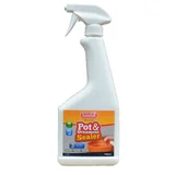 Bondall Pot & Ornament Sealer