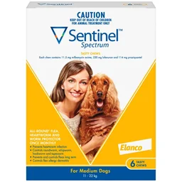 Heart & Intestinal Wormers