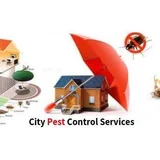 City Pest Control Services
