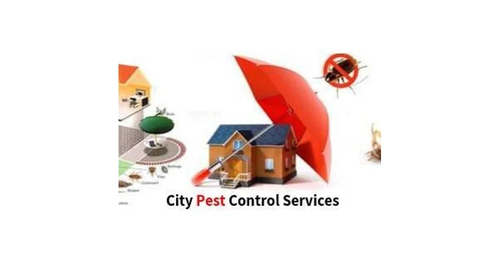 City Pest Control Services reviews
