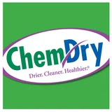Chem-Dry Professionals SA