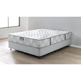 Silent Partner Cosmopolitan Queen