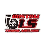 Custom LS Tuning