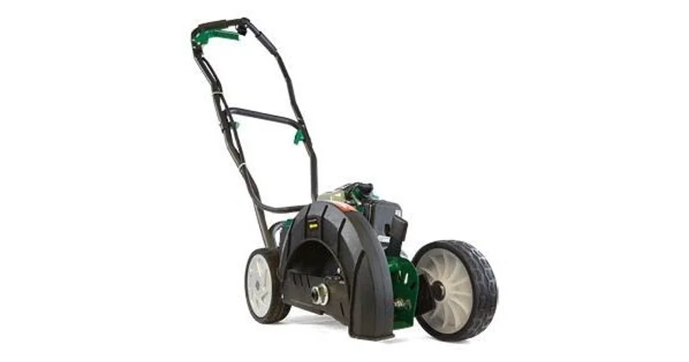 Bunnings petrol online edger