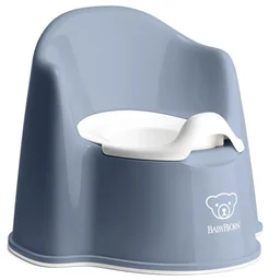 Potty Chairs / Toilet Seats