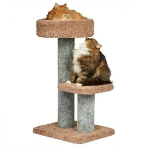 purrfect cat scratcher