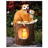 Innovations Meerkat Solar Feature