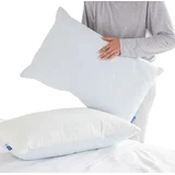 Ecosa Loft Pillow