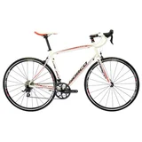 Norco Valence