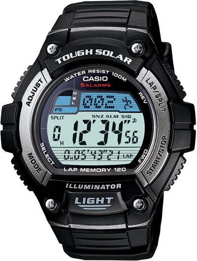 casio ws220